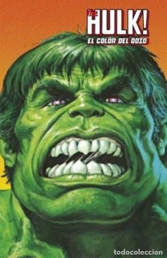 Fumetti: The Hulk #01: El color del odio (Panini C&oacute;mics) - Doug Moench; Gene Colan / Ron Wilson / Mike Zeck