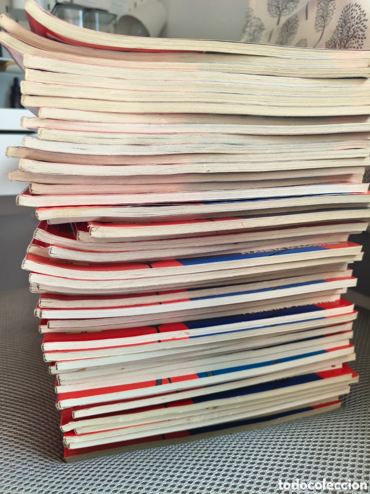 C&oacute;mics: Colecci&oacute;n completa Spiderman (50 c&oacute;mics) - Serie Roja Planeta - Foto 5