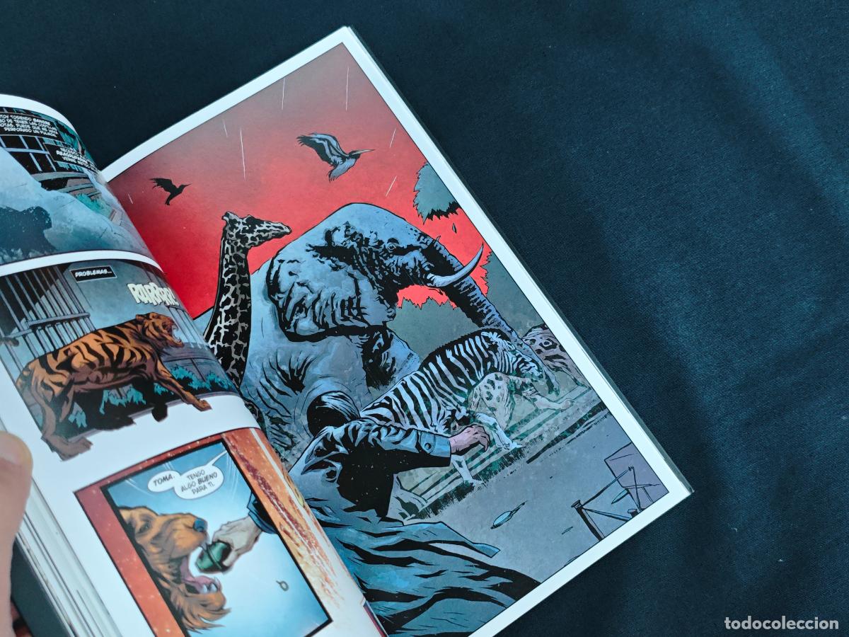 C&oacute;mics: MARVEL NOIR - PUNISHER - PANINI - - Foto 5