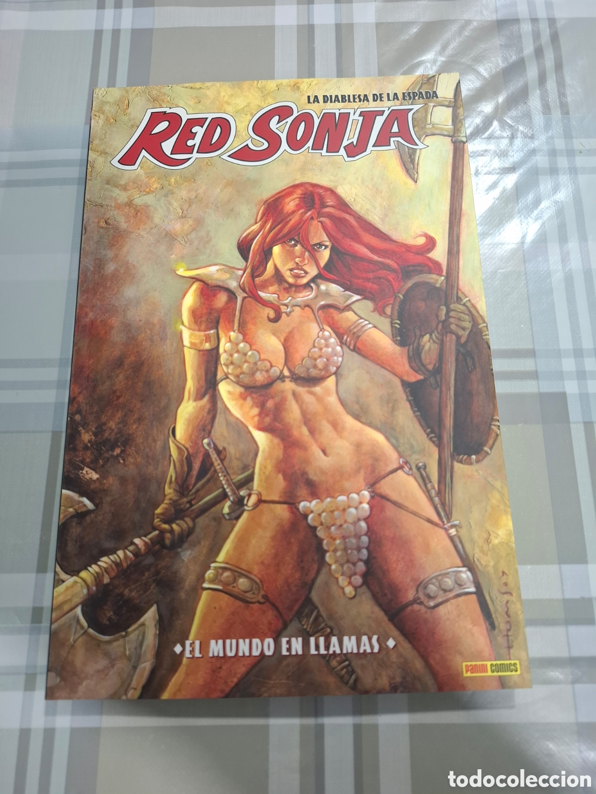 C&oacute;mics: Red Sonja La Diablesa de la Espada n&deg; 5 , El mundo en llamas