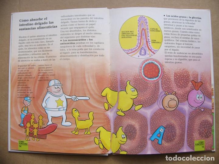 Erase Una Vez El Cuerpo Humano La Digestion