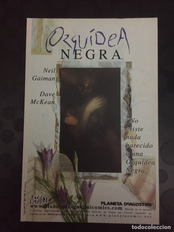 C&oacute;mics: SANDMAN N.2 . V&Eacute;RTIGO . 64PP . R&Uacute;STICA . ( 2006/2007 ) - Foto 2