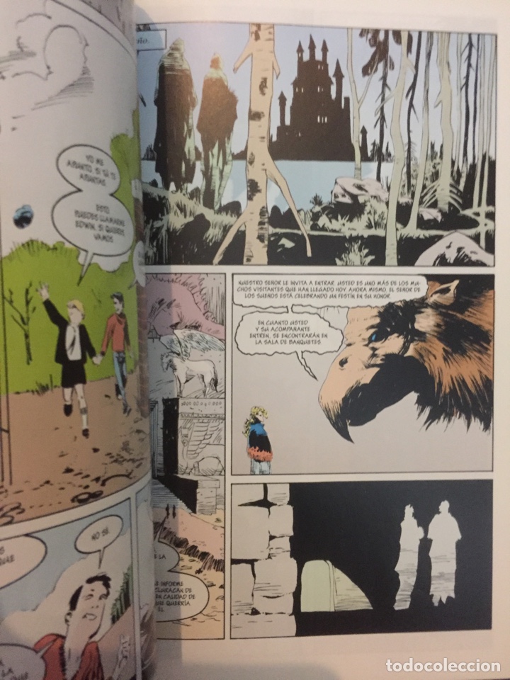 C&oacute;mics: SANDMAN N.13 . V&Eacute;RTIGO . ( 2006/2007 ) - Foto 3