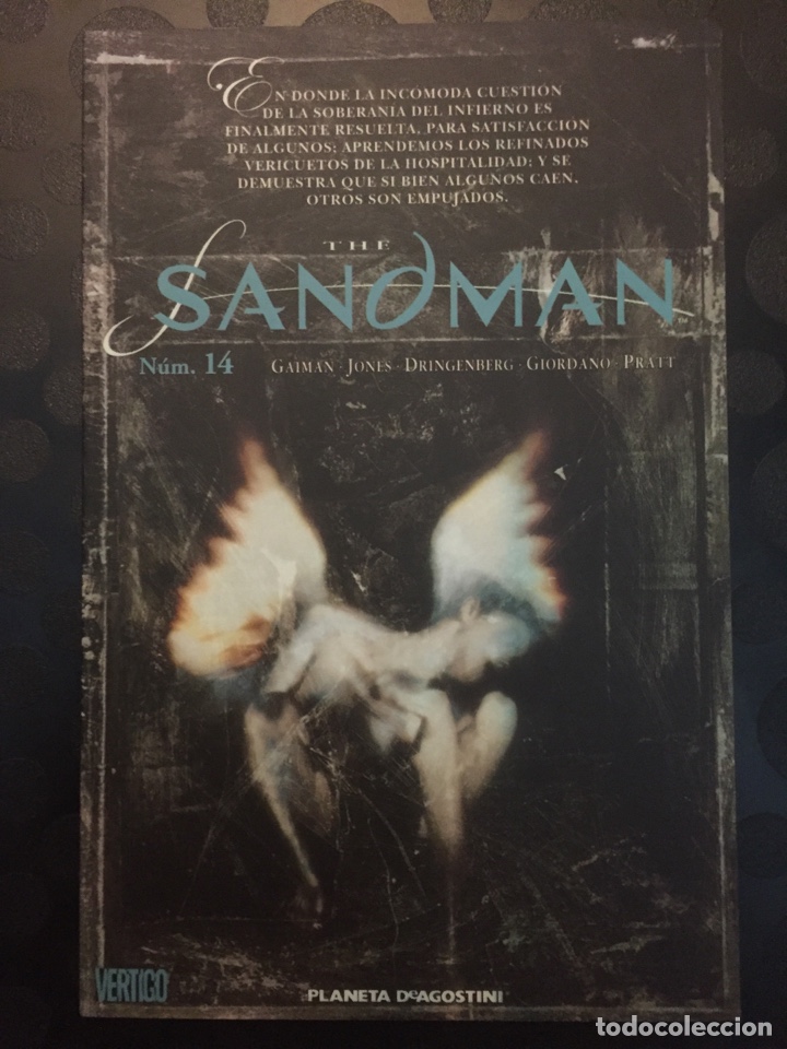 C&oacute;mics: SANDMAN N.14 . V&Eacute;RTIGO . ( 2006/2007 ) - Foto 1