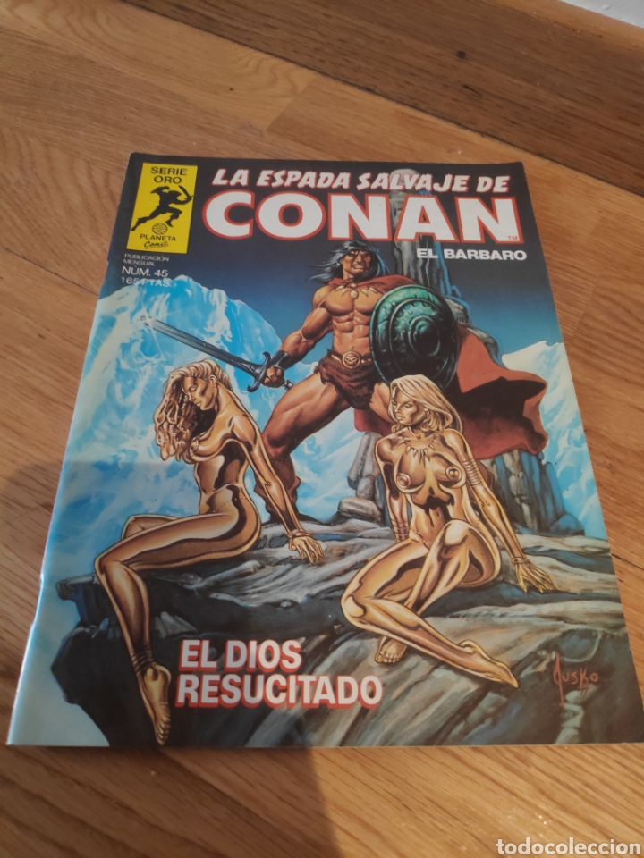 C&oacute;mics: La espada salvaje de Conan el B&aacute;rbaro el dios resucitado 45 - Foto 1