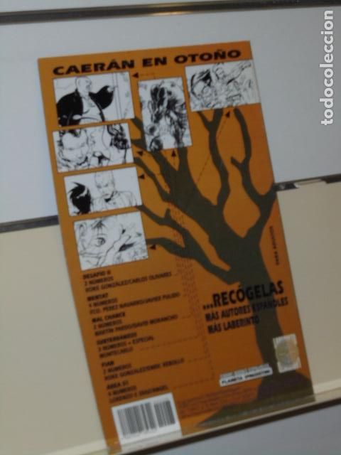 C&oacute;mics: IMAGE SPAWN N&ordm; 28 WORLD COMICS - PLANETA - Foto 2
