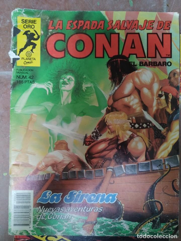 C&oacute;mics: La Espada Salvaje de Conan El B&aacute;rbaro N&uacute;m. 42 - Foto 1