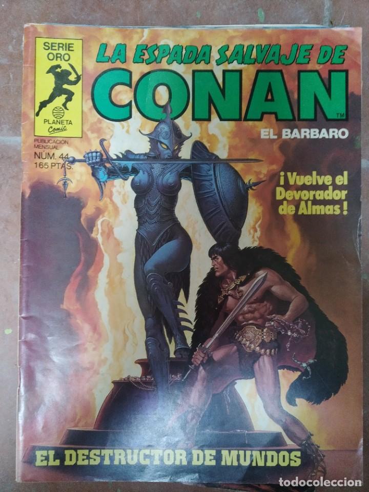 C&oacute;mics: La Espada Salvaje de Conan El B&aacute;rbaro N&uacute;m. 44 - Foto 1