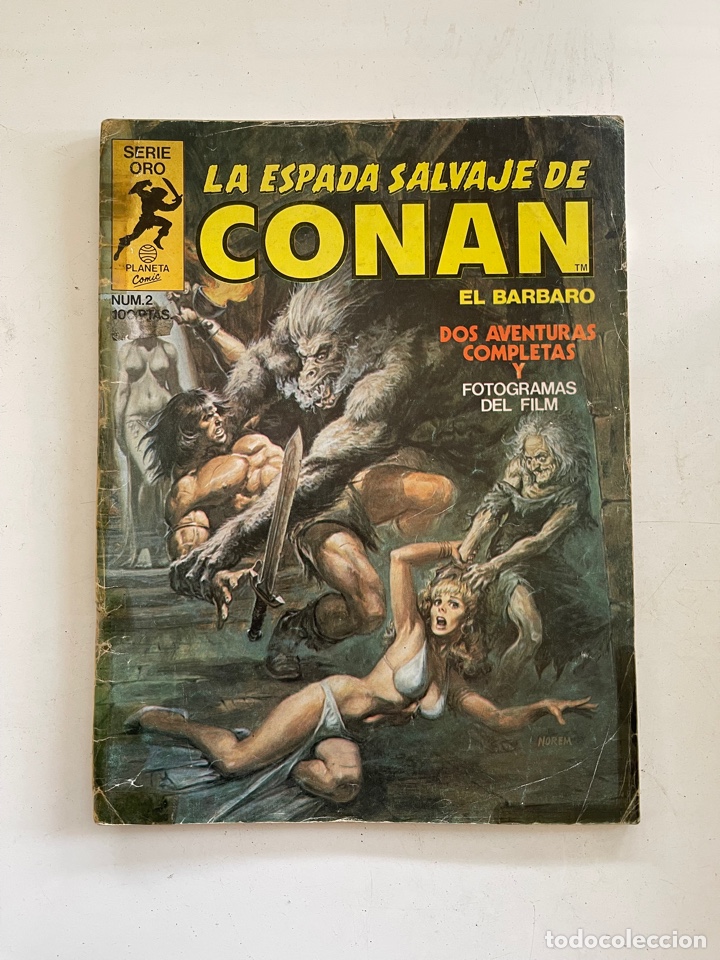 C&oacute;mics: La Espada Salvaje de Conan n&uacute;mero 2 - Foto 1