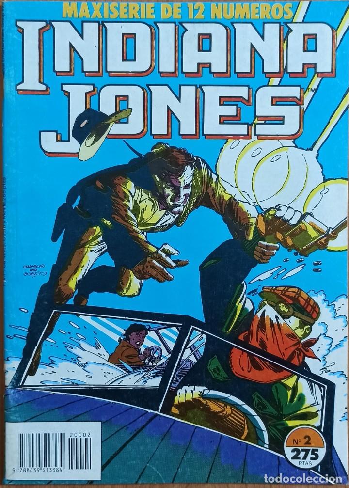 C&oacute;mics: INDIANA JONES N&ordm; 2 - MAXISERIE DE 12 NUMEROS - 1990 PLANETA DE AGOSTINI.