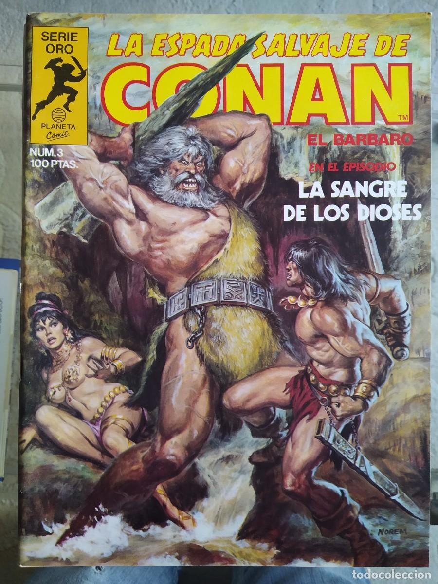 C&oacute;mics: La Espada Salvaje de Conan N&uacute;m. 3 - Foto 1