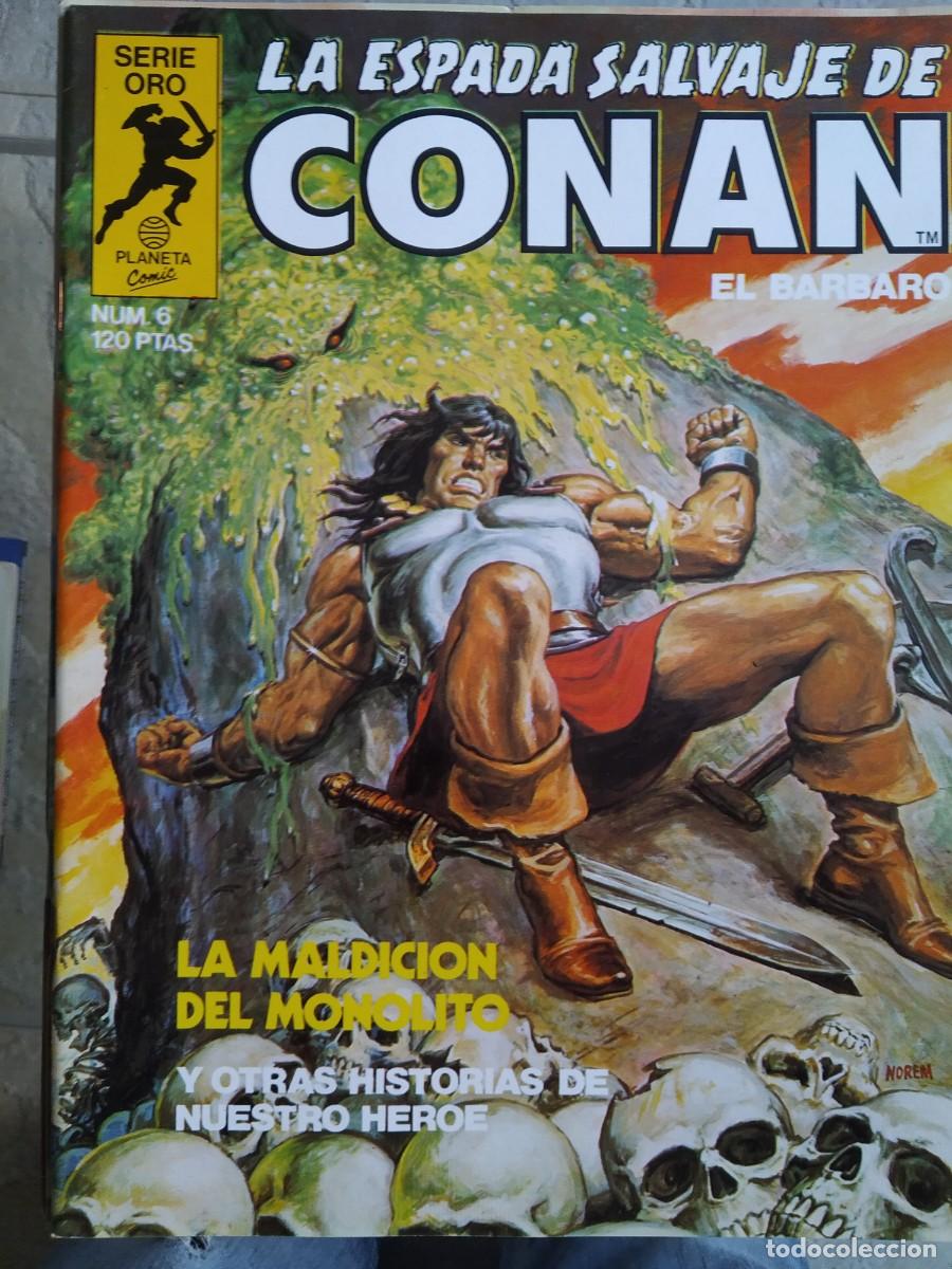 C&oacute;mics: La Espada Salvaje de Conan N&uacute;m. 6 - Foto 1