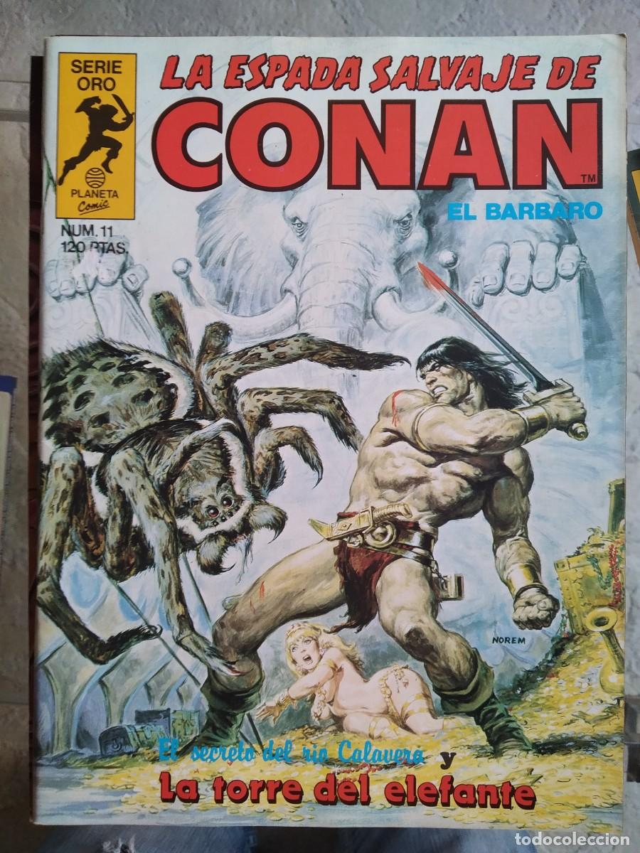 C&oacute;mics: La Espada Salvaje de Conan N&uacute;m. 11 - Foto 1