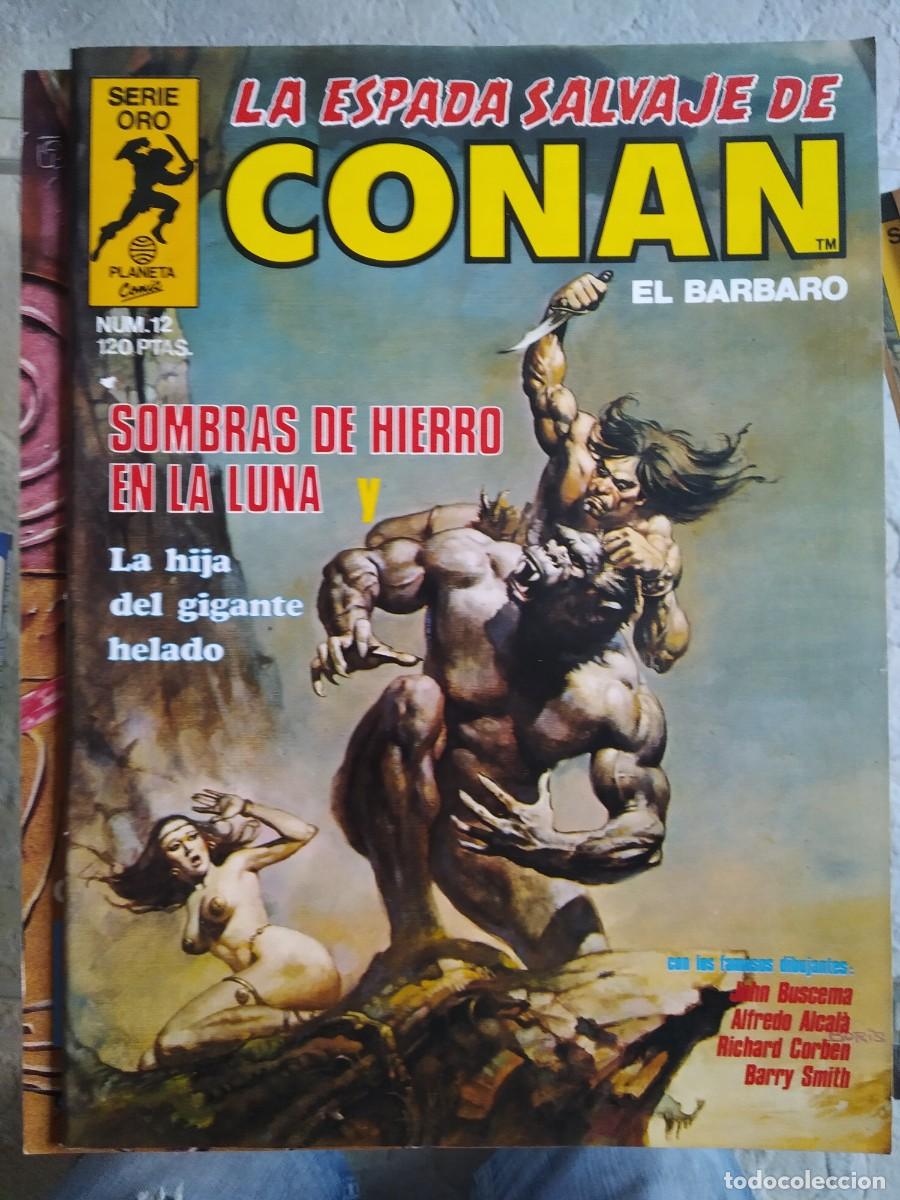C&oacute;mics: La Espada Salvaje de Conan N&uacute;m. 12 - Foto 1