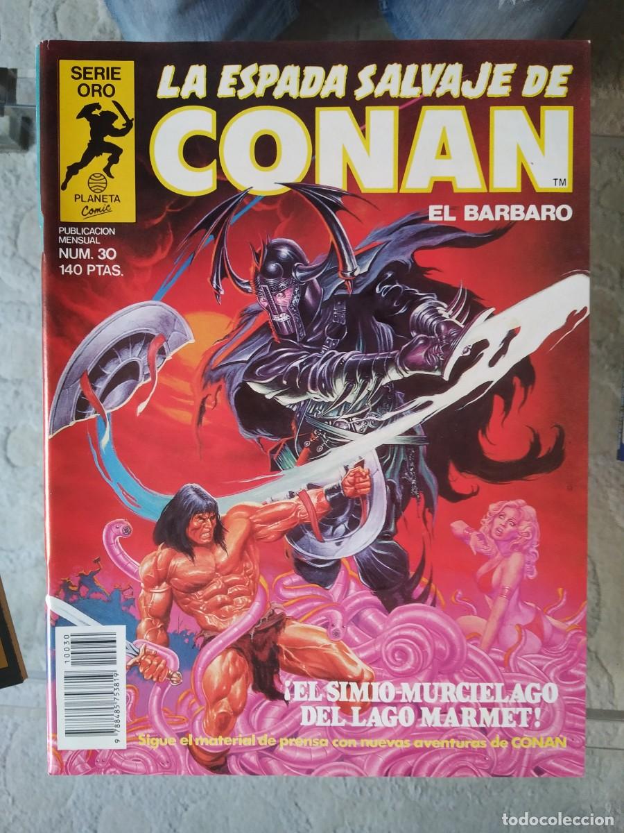 C&oacute;mics: La Espada Salvaje de Conan N&uacute;m. 30 - Foto 1