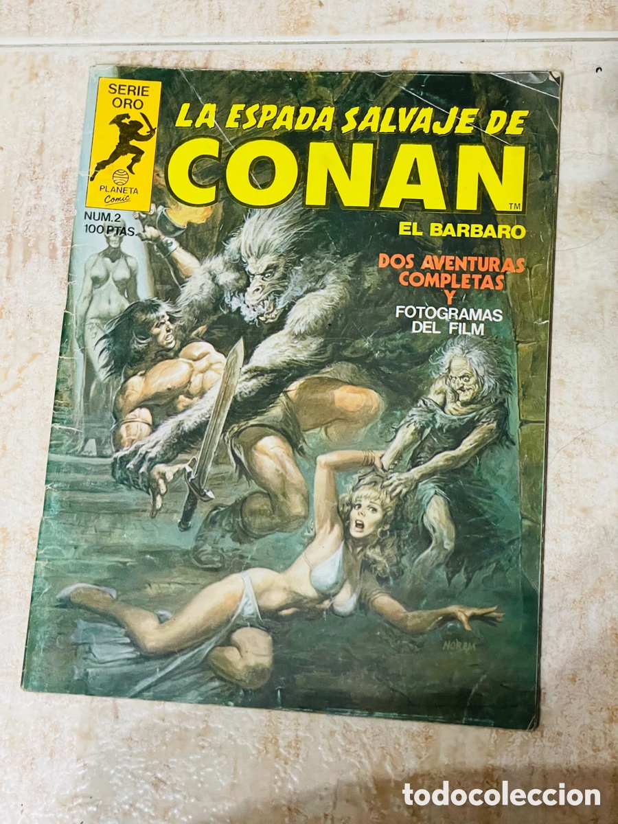 C&oacute;mics: La Espada Salvaje de Conan n2 - Foto 1