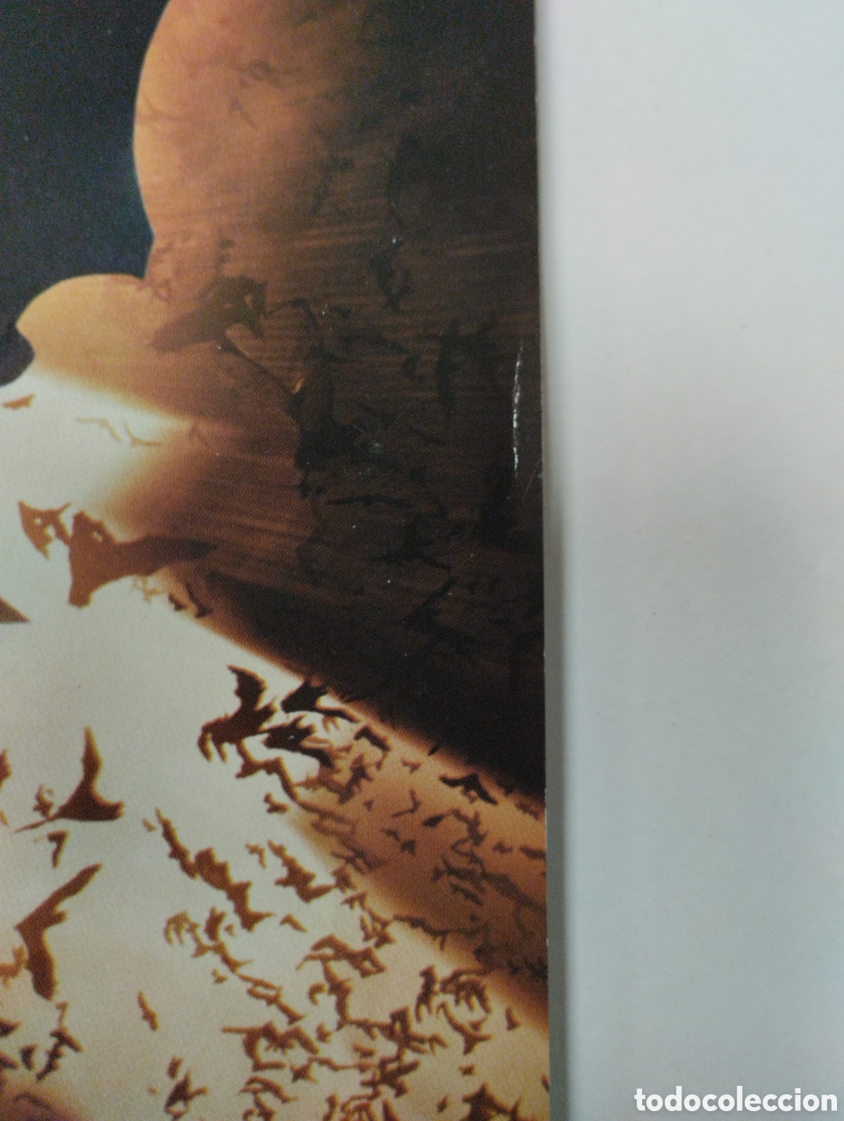 C&oacute;mics: BATMAN BEGINS PLANETA COMIC - Foto 4