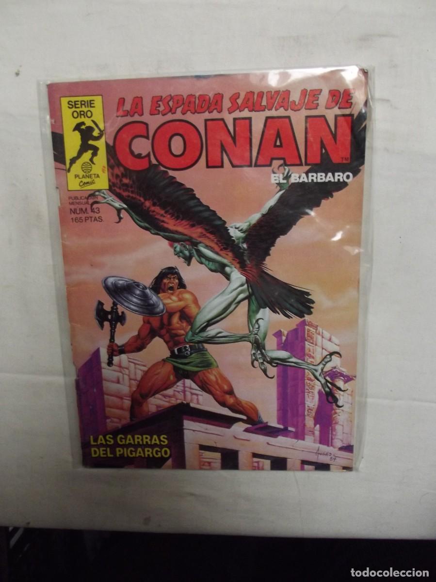 C&oacute;mics: LA ESPADA SALVAJE DE CONAN N&ordm; 43 LAS GARRAS DEL PIGARGO - Foto 1