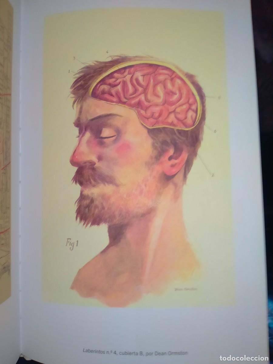 C&oacute;mics: JEFF LEMIRE. LABERINTOS . PLANETA C&Oacute;MIC - Foto 4