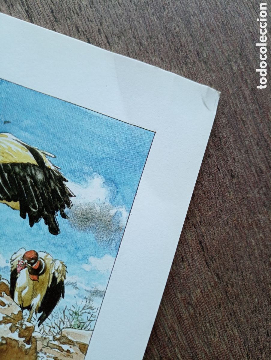 C&oacute;mics: CAATINGA HERMANN PLANETA - Foto 6