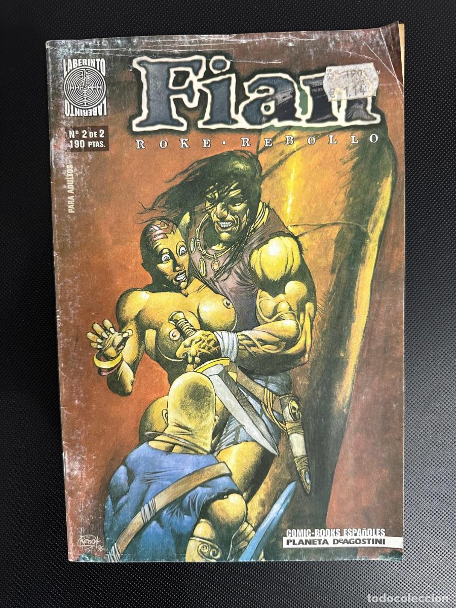 C&oacute;mics: FIAN - TOMO 2 DE 2 - PLANETA DE AGOSTINI - Foto 1