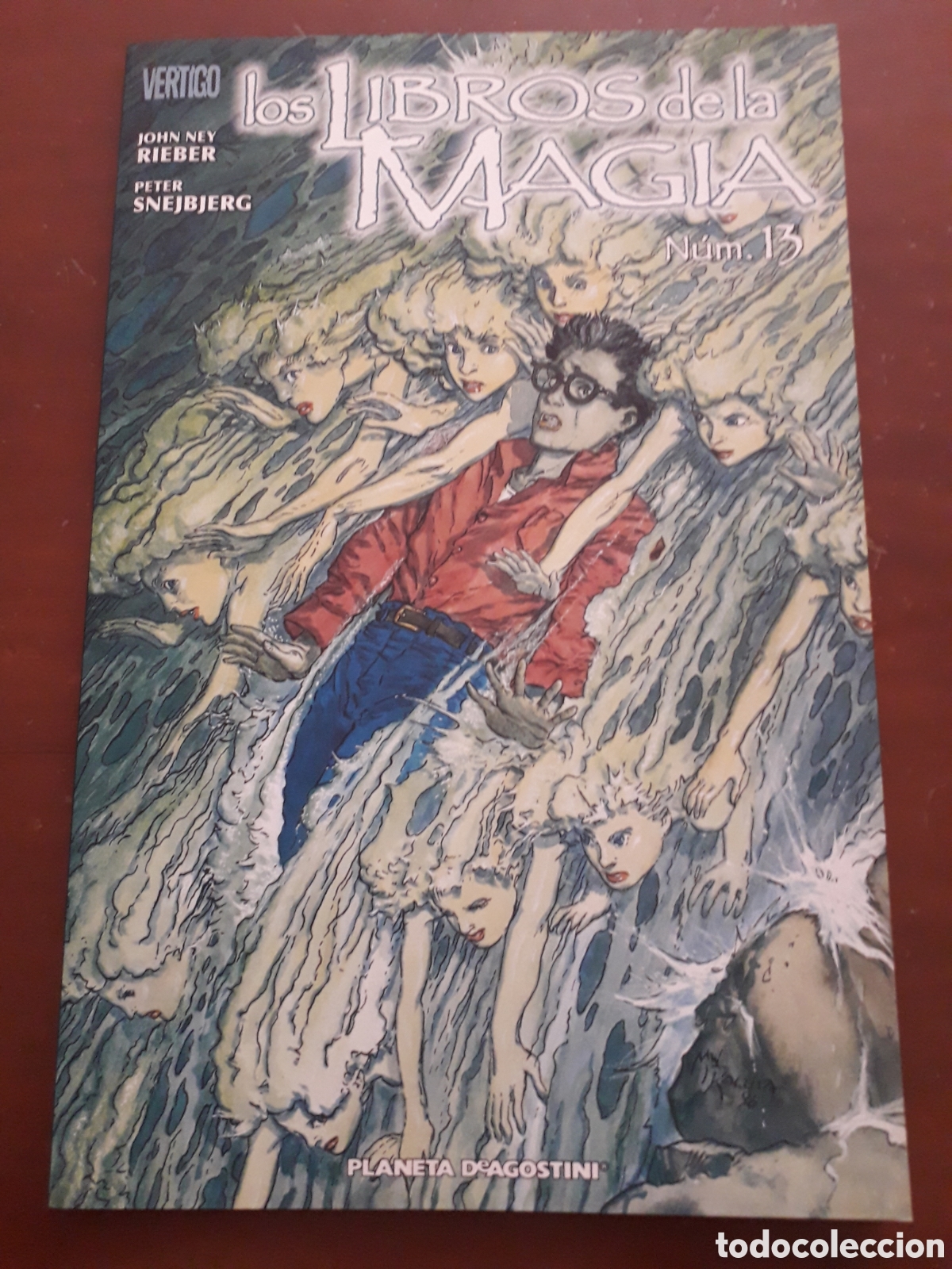 C&oacute;mics: LOS LIBROS DE LA MAGIA TOMO 13. V&eacute;rtigo - Foto 1
