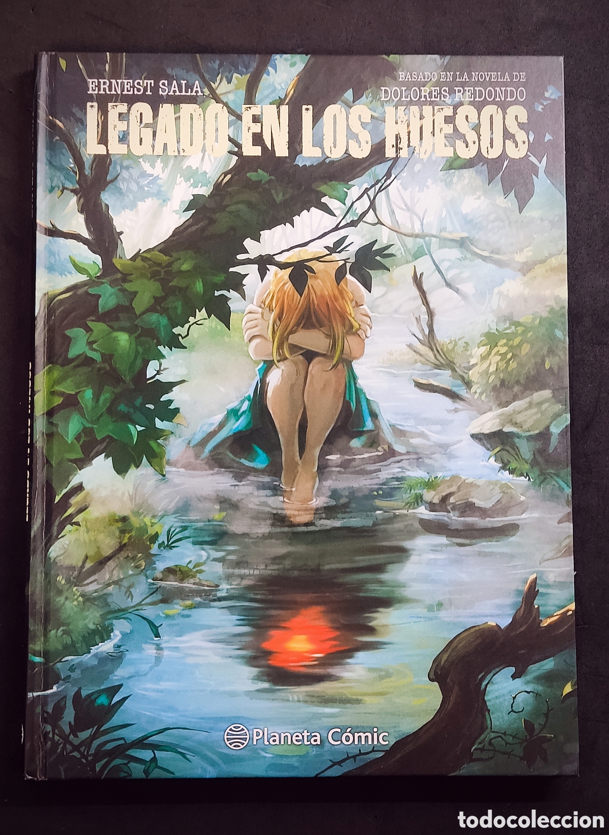 C&oacute;mics: Pack El guardi&aacute;n invisible (2 novelas gr&aacute;ficas) - Foto 1