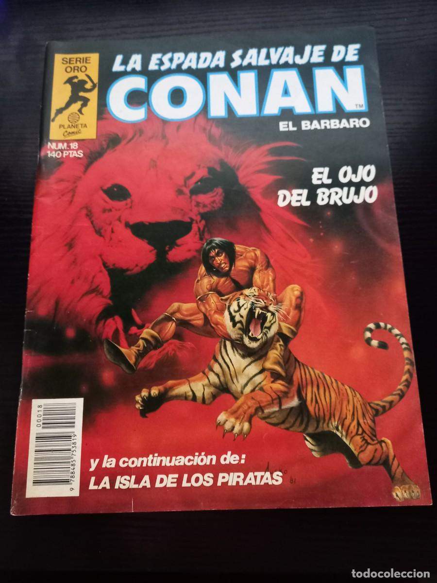 C&oacute;mics: La Espada Salvaje de Conan n&ordm; 18 (1&ordf; edici&oacute;n)