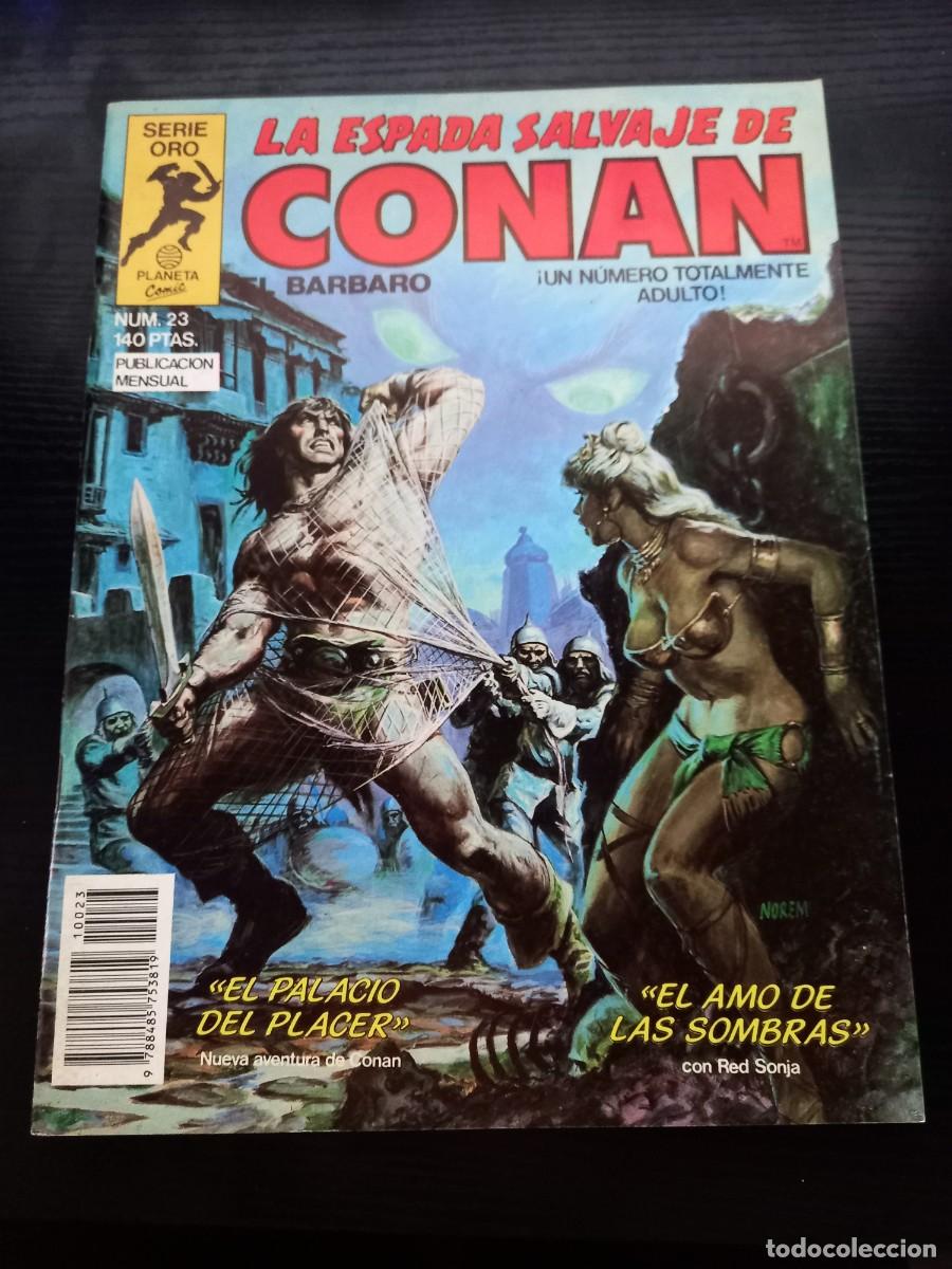 C&oacute;mics: La Espada Salvaje de Conan n&ordm; 23 (1&ordf; edici&oacute;n)
