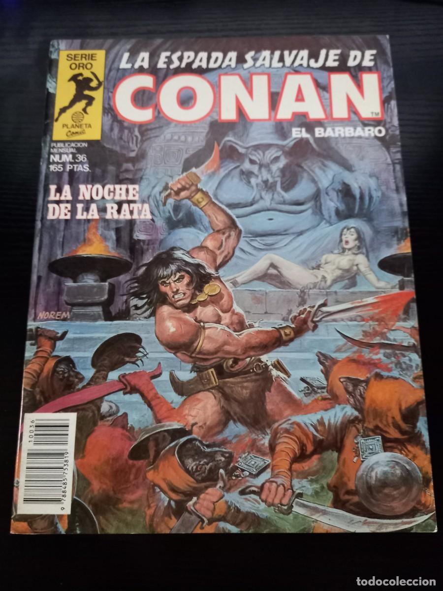 C&oacute;mics: La Espada Salvaje de Conan n&ordm; 36 (1&ordf; edici&oacute;n)