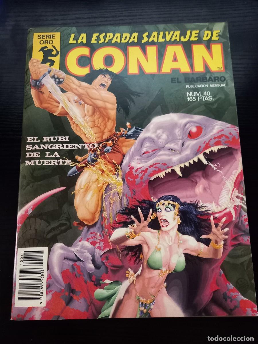 C&oacute;mics: La Espada Salvaje de Conan n&ordm; 40 (1&ordf; edici&oacute;n)