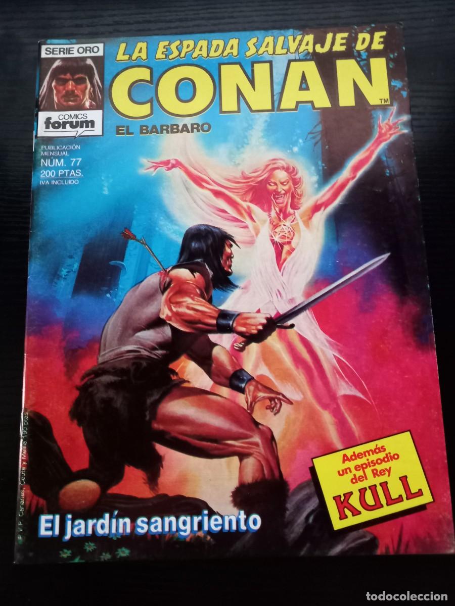 C&oacute;mics: La Espada Salvaje de Conan n&ordm; 77 (1&ordf; edici&oacute;n)