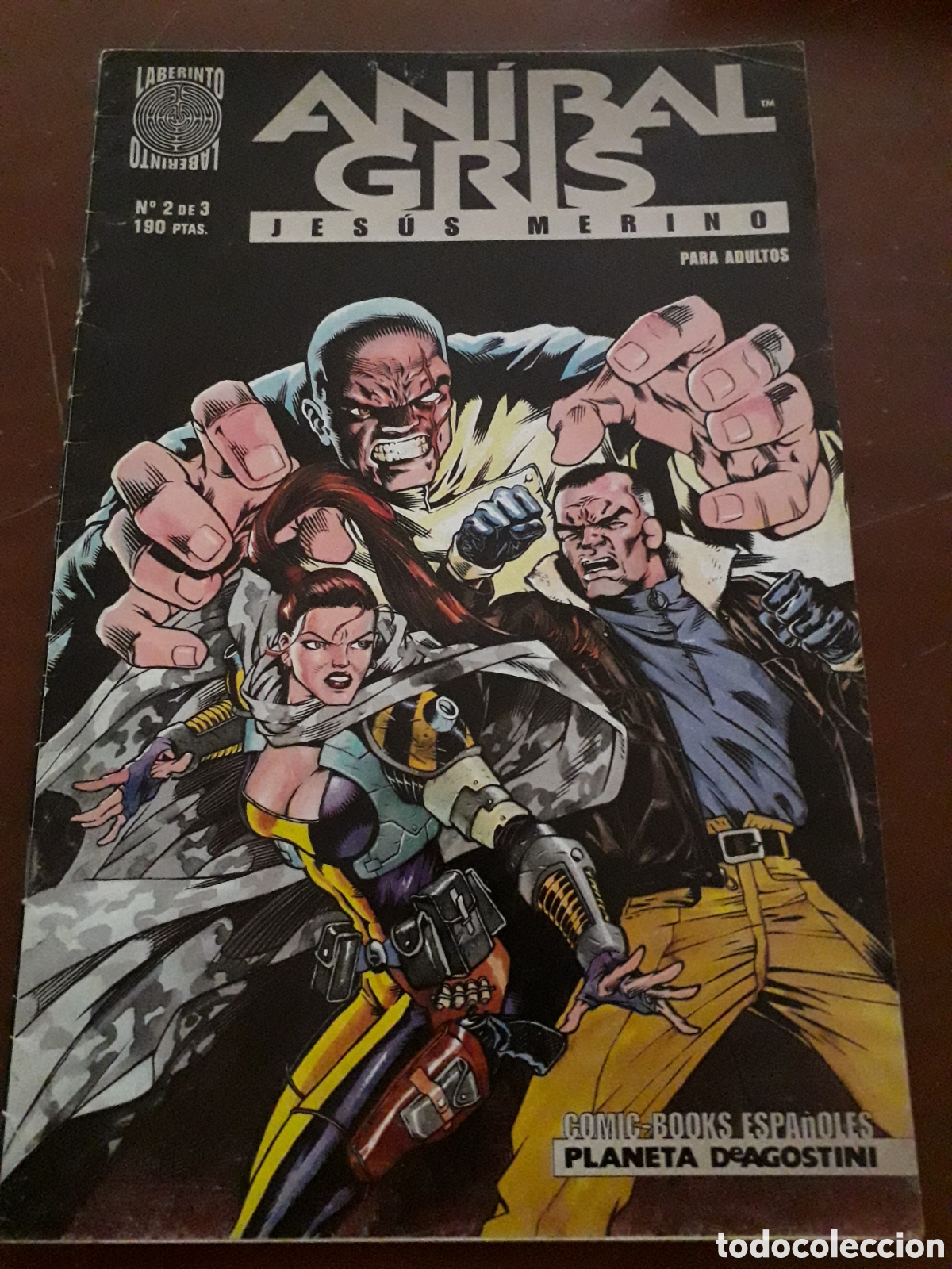 C&oacute;mics: AN&Iacute;BAL GRIS N&Uacute;MERO 2. JES&Uacute;S MERINO - Foto 1