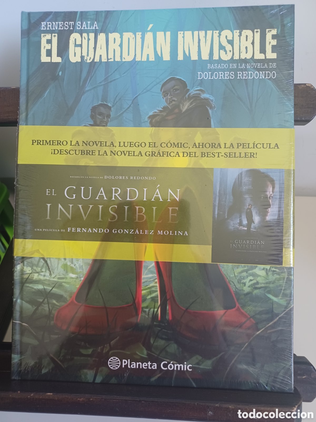 C&oacute;mics: El guardi&aacute;n invisible. Novela gr&aacute;fica basada en la novela de Dolores Redondo/ NUEVO A ESTRENAR
