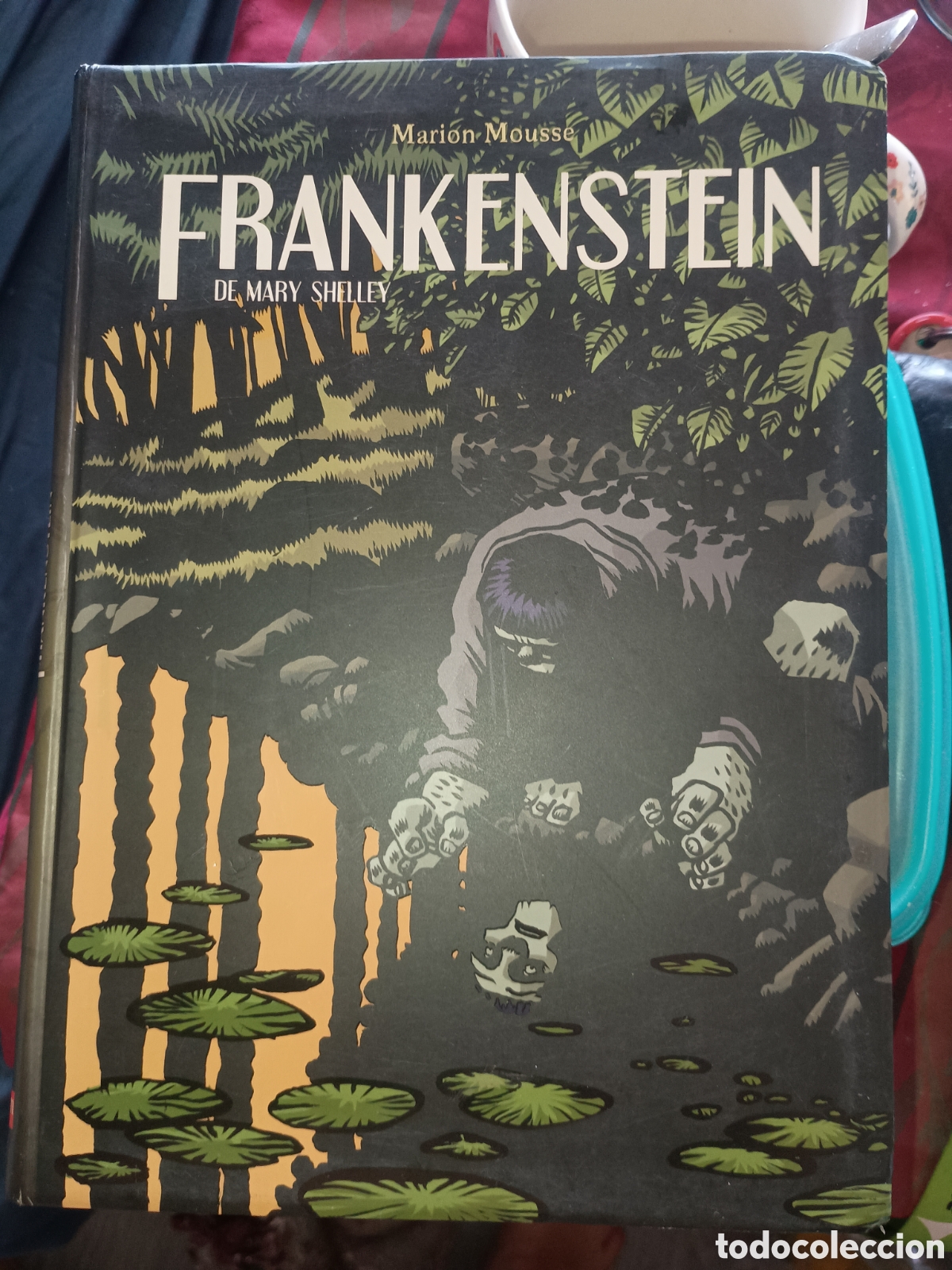 C&oacute;mics: C&oacute;mic Frankenstein de Mary Shelley
