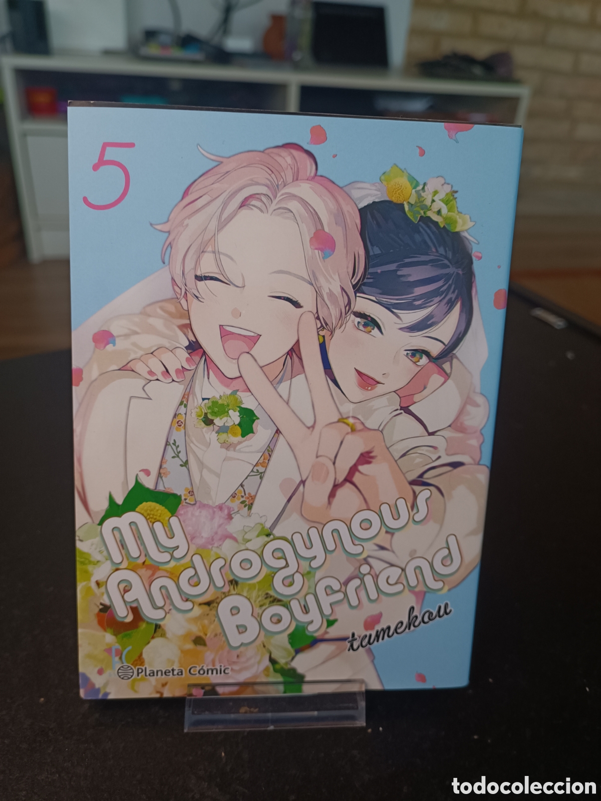 C&oacute;mics: My androginous boyfriend 05 tamekou planeta c&oacute;mic manga