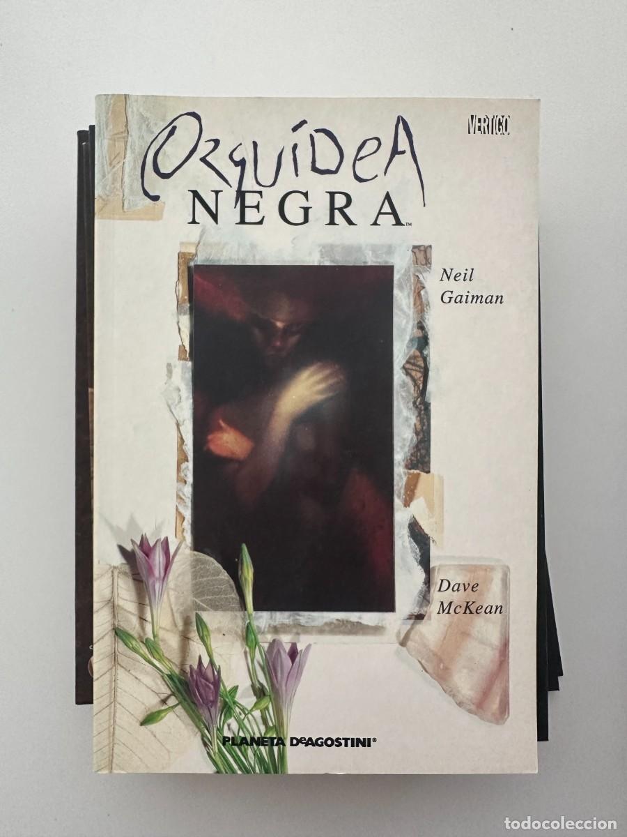 C&oacute;mics: Orqu&iacute;dea Negra - Neil Gaiman / Dave McKean