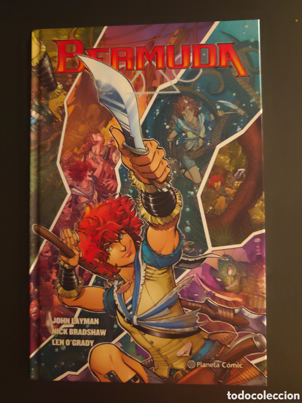 C&oacute;mics: Bermuda. Layman Bradshaw