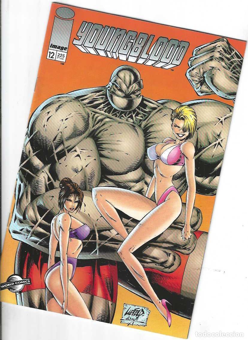 C&oacute;mics: YOUNGBLOOD N&ordm; 12 - GRAPA IMAGE PLANETA - ROB LIEFELD - BUEN ESTADO
