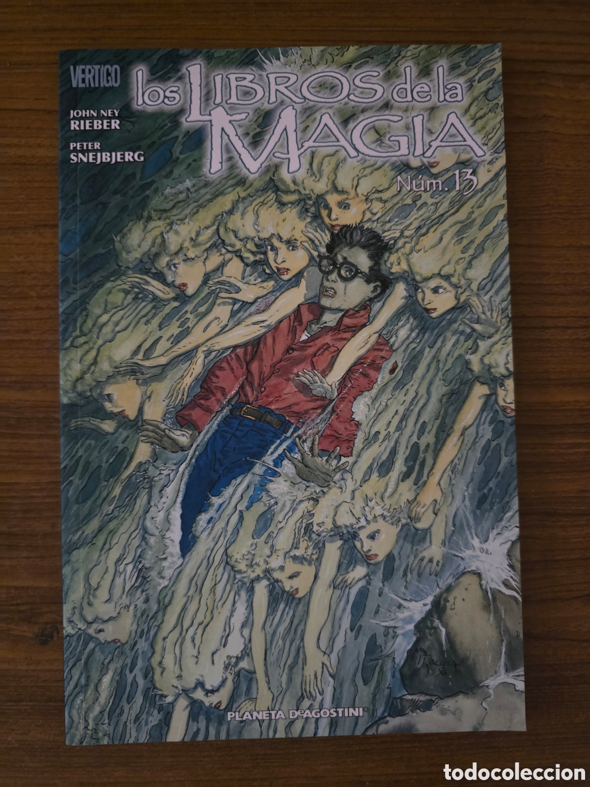 C&oacute;mics: LOS LIBROS DE LA MAGIA,NUMERO 13,(VERTIGO-PLANETA DEAGOSTINI)