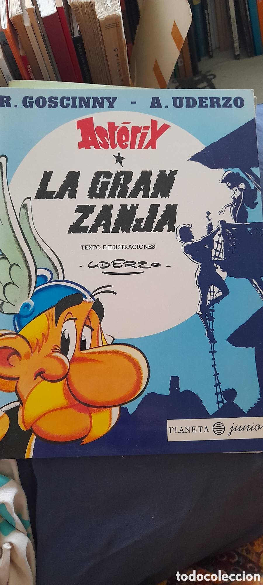 C&oacute;mics: Asterix. La gran zanja