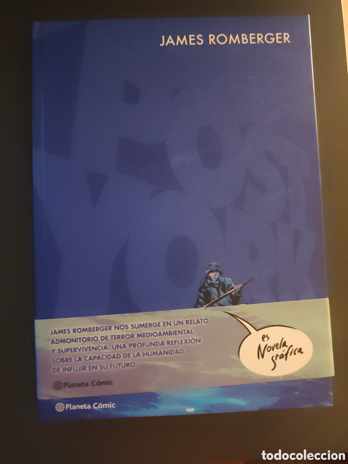 C&oacute;mics: Post York. Romberger