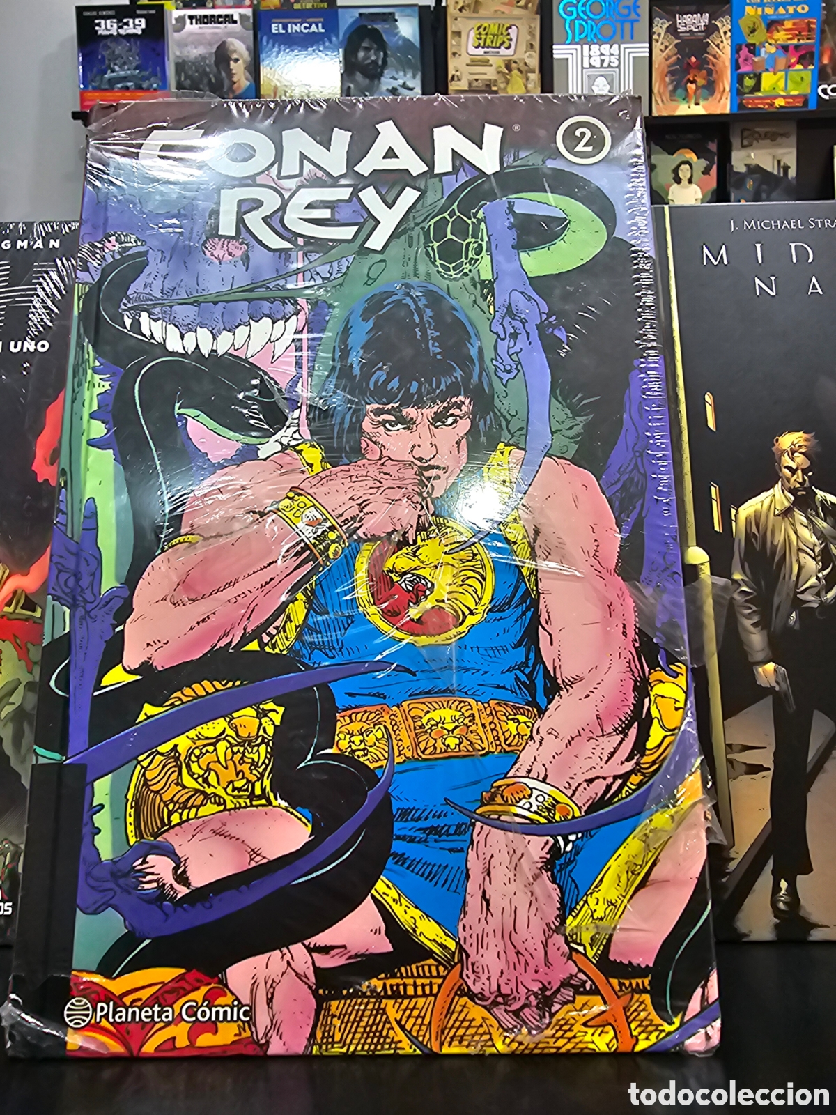 C&oacute;mics: Tomo 2 Conan rey ,de planeta comic