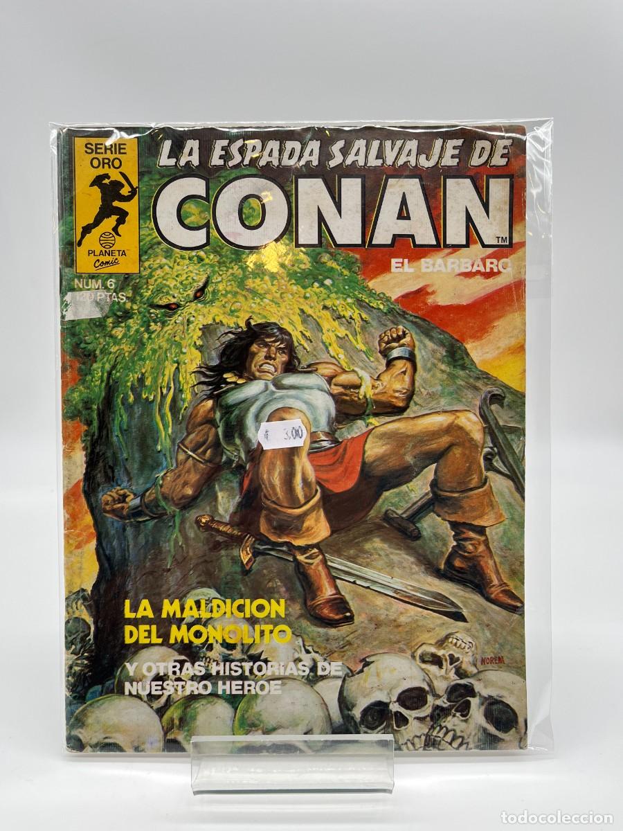 C&oacute;mics: LA ESPADA SALVAJE DE CONAN (Ed. Planeta Comic) N&ordm; 6