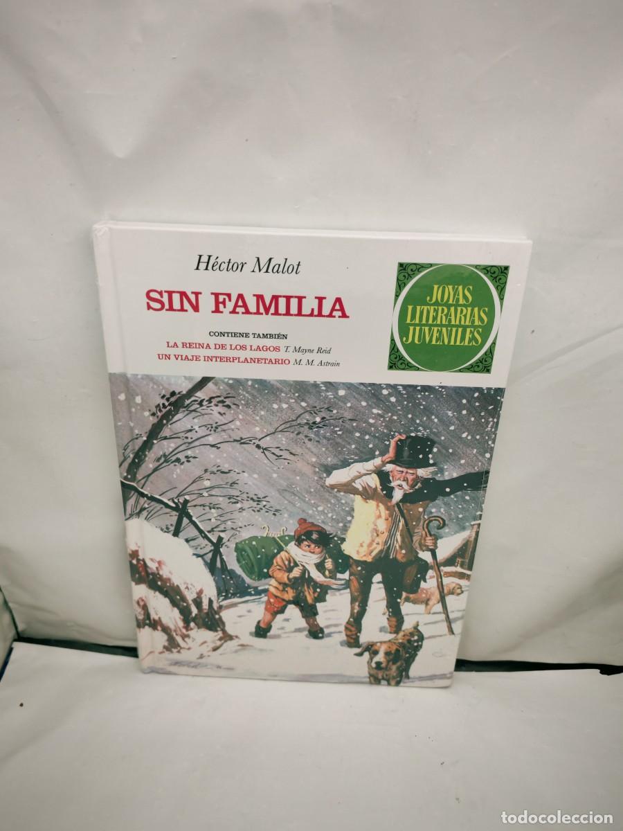Comics: Sin familia. La reina de los Lagos. Un Viaje Interplanetario (Joyas Literarias Juveniles 48)