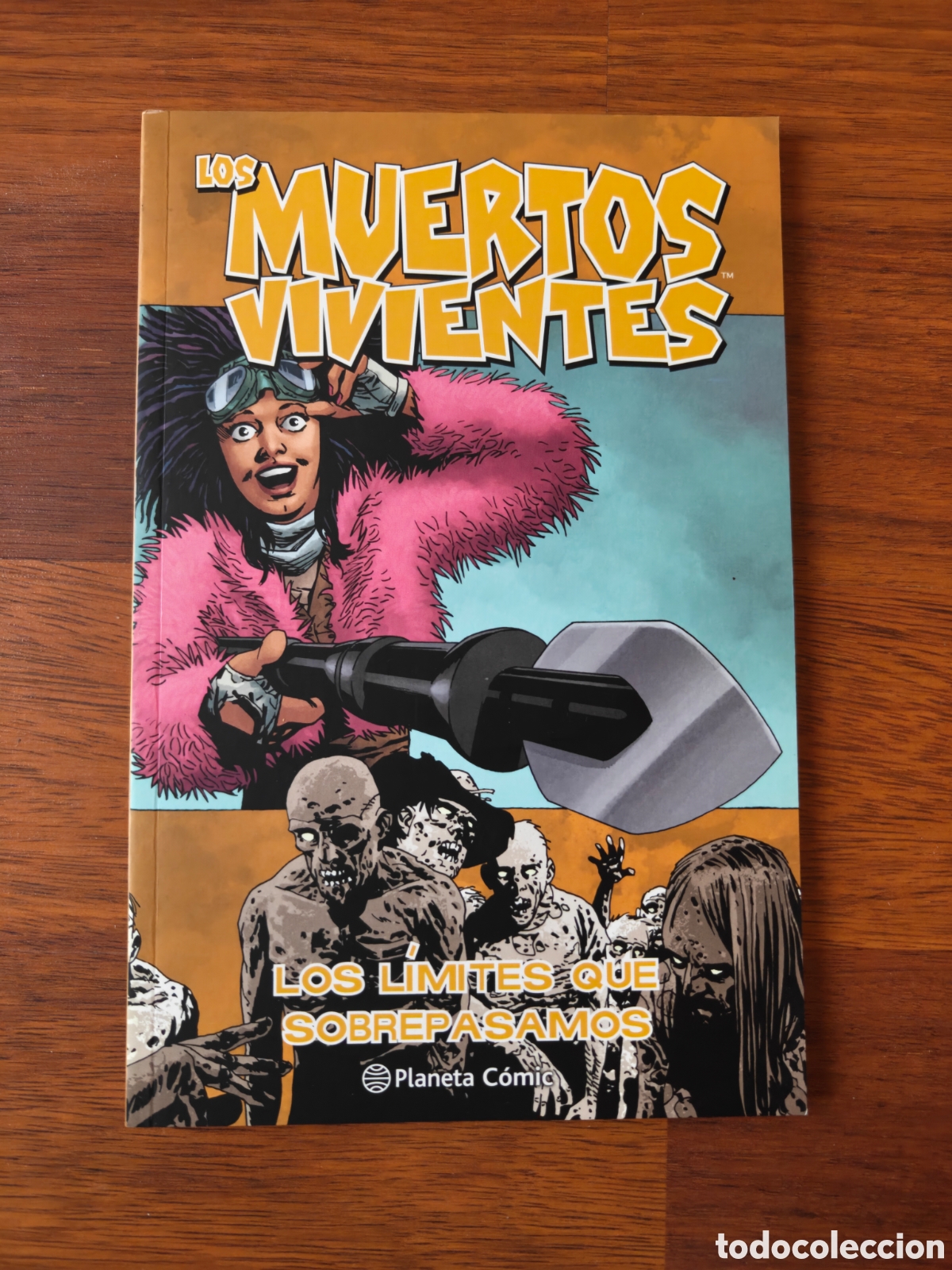 C&oacute;mics: Los l&iacute;mites que sobrepasamos. Tomo 29. Los Muertos Vivientes. The Walking Dead.&nbsp;Robert Kirkman.