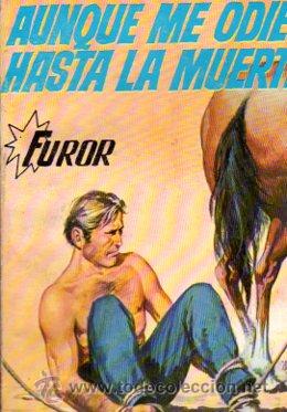 C&oacute;mics: AUNQUE ME ODIES HASTA LA MUERTE, FUROR, 38