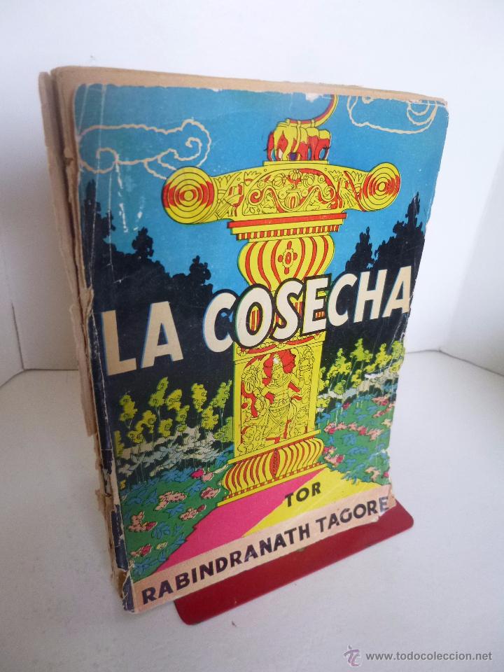 C&oacute;mics: LA COSECHA Rabindranath Tagore (TOR, ) - Foto 1