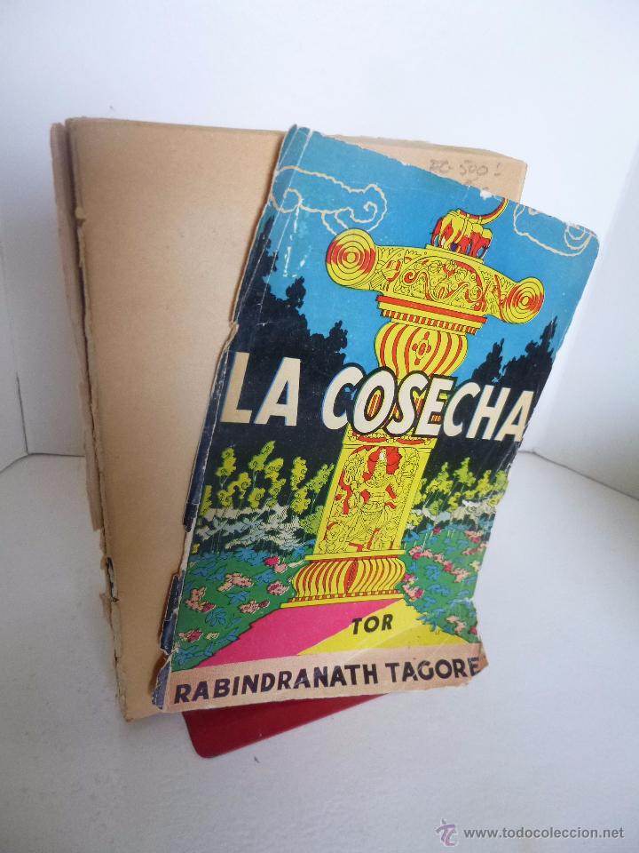 C&oacute;mics: LA COSECHA Rabindranath Tagore (TOR, ) - Foto 2