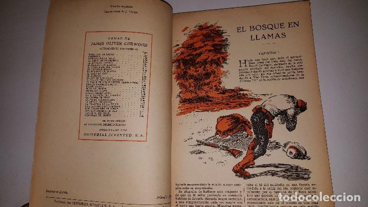 C&oacute;mics: LA NOVELA AZUL- EL BOSQUE EN LLAMAS N&ordm; 21 - Foto 2